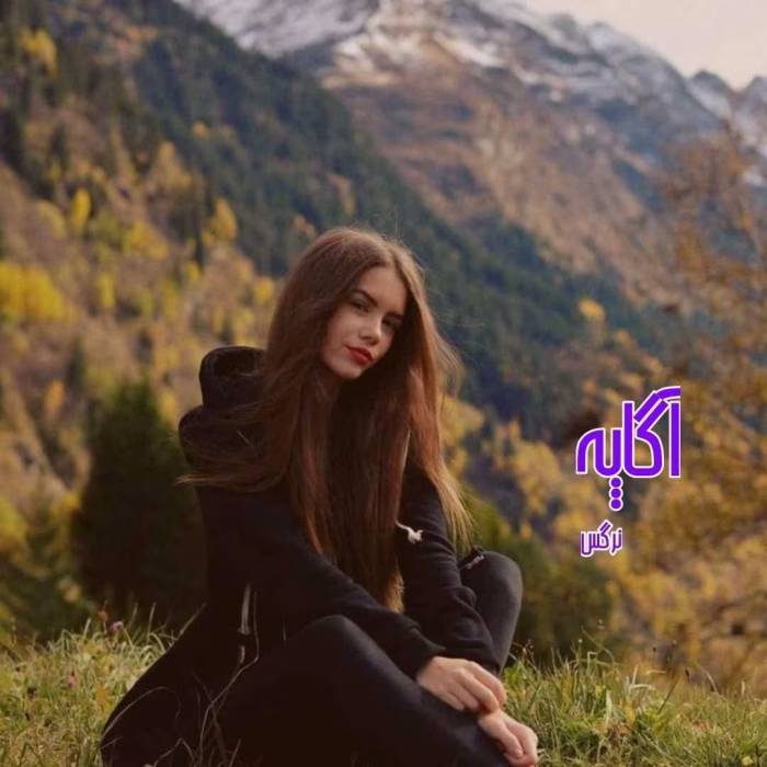 دانلود رمان آگاپه pdf اثر نرگس