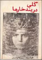 دانلود و خرید کتاب گلی در بند خارها (PDF) – پرویز قاضی سعید | رمانی عاشقانه و احساسی