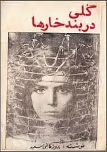 دانلود و خرید کتاب گلی در بند خارها (PDF) – پرویز قاضی سعید | رمانی عاشقانه و احساسی دانلود و خرید کتاب گلی در بند خارها (PDF) – پرویز قاضی سعید | رمانی عاشقانه و احساسی