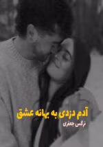 دانلود رمان آدم‌ دزدی به بهانه عشق pdf - تصویر 1