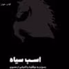 دانلود کتاب اسب سیاه pdf |اثر تاد رز