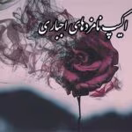 دانلود رمان اکیپ نامزدهای اجباری pdf