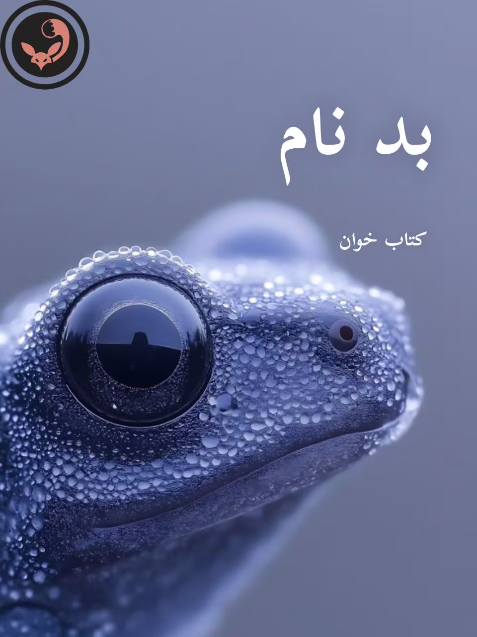 دانلود رمان بد نام pdf دانلود رمان بد نام pdf