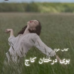 دانلود رمان بوی درختان کاج pdf