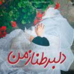 دانلود رمان دلبر طناز من PDF