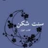 دانلود رمان سنت شکن - الناز محمدی