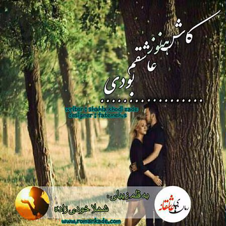 کاش-هنوز-عاشقم-بودی معرفی رمان: کاش هنوز عاشقم بودی – داستانی عاشقانه و اجتماعی - Image 1