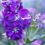 دانلود رمان گل شب بو pdf