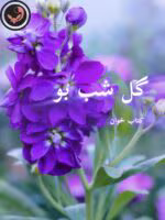 دانلود رمان گل شب بو pdf