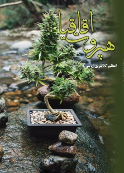 دانلود رمان هپروت اقاقیا pdf اثر اعظم کلانتری(یاسی)