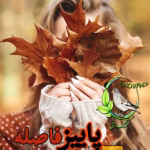 رمان یک پاییز فاصله از پگاه رستمی فرد pdf