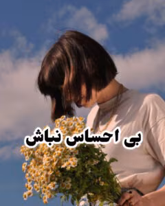 InShot_20241207_133822458-240x300 دانلود رمان بی احساس نباش pdf