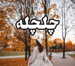 رمان چلچله pdf