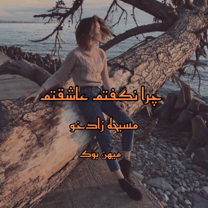 رمان چرا نگفتم عاشقم pdf