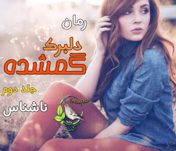 رمان دلبرک گمشده جلد 2  ادامه‌ی پرکشش ماجراجویی عاشقانه و مرموز  | دانلود  | کتاب خوان
