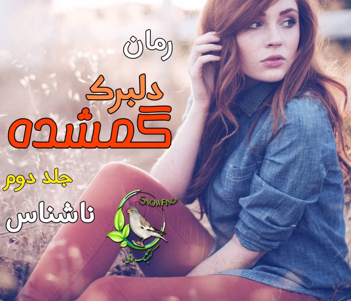 دانلود رمان دلبرک گمشده جلد 2 ادامه‌ی پرکشش ماجراجویی عاشقانه و مرموز PDF