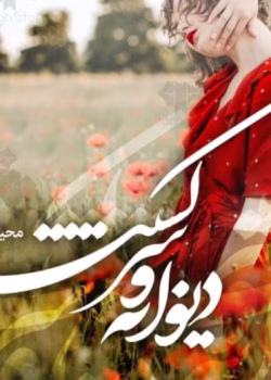 رمان دیوانه و سرگشته