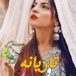 دانلود رمان تازیانه و عشق pdf