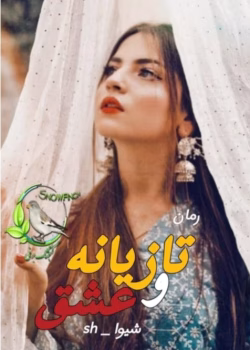 دانلود رمان تازیانه و عشق pdf