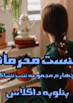 رمان نشست محرمانه