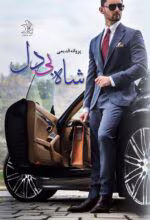 دانلود رمان شاه بی دل pdf اثر پروانه قدیمی