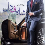 دانلود رمان شاه بی دل pdf اثر پروانه قدیمی