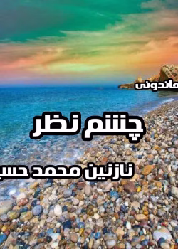 رمان چشم نظر PDF