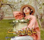 رمان باغ امیری pdf