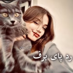 دانلود رمان رد پای برف pdf