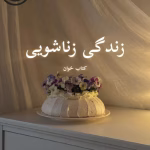 دانلود رمان زندگی زناشویی pdf | نیلوفر قائمی فر