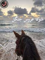 دانلود رمان شوکا عروس جنگل pdf اثر مهدیه