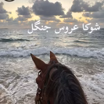 دانلود رمان شوکا عروس جنگل pdf اثر مهدیه