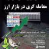 استراتژی های موفق معاملاتی در بازار ارز / نوشته کتی لین و بوریس شلوسبرگ / ترجمه محمد رضا آیت اللهی