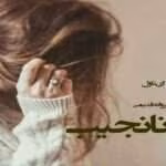 دانلود رمان نانجیب نویسنده: پروانه قدیمی