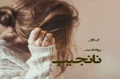 رمان نانجیب نویسنده: پروانه قدیمی | دانلود  | کتاب خوان