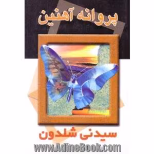 پروانه آهنین | رمان موفقیت و قدرت زنان در دنیای تجارت از سیدنی شلدون | دانلود  | کتاب خوان