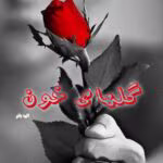 دانلود فصل دوم رمان گلهای خون pdf اثر مرضیه حسنی