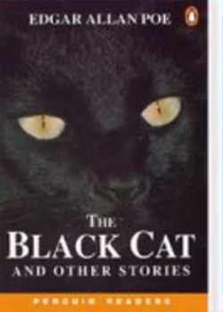 رمان گربه سیاه