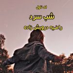 رمان شب سرد _ عاشقانه ای معمایی و جنایی | دانلود  | کتاب خوان