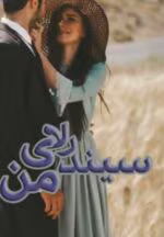 رمان سیندرلای من