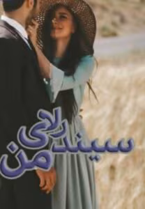 رمان سیندرلای من از نویسنده حمزه آذرکیش _ کامل  | دانلود  | کتاب خوان
