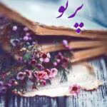 دانلود رمان پرتو _ عاشقانه ای اجباری و خدمتکاری