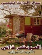 افسونگر ذاتی pdf اثر سوزان الیزابت فیلیپس