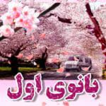 رمان بانوی اول pdf اثر سوزان الیزابت فیلیپس