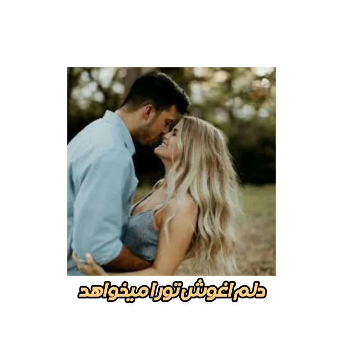 دانلود pdf رمان دلم آغوشت را میخواهد