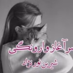 رمان سرآغاز وارونگی – اثر شیرین نورنژاد | عاشقانه اجتماعی و کلکلی با چاشنی دردهای پنهان
