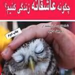 دانلود کتاب چگونه عاشقانه زندگی کنیم اثر وین دایر | راهی به سوی آرامش، خودشناسی و زندگی آگاهانه