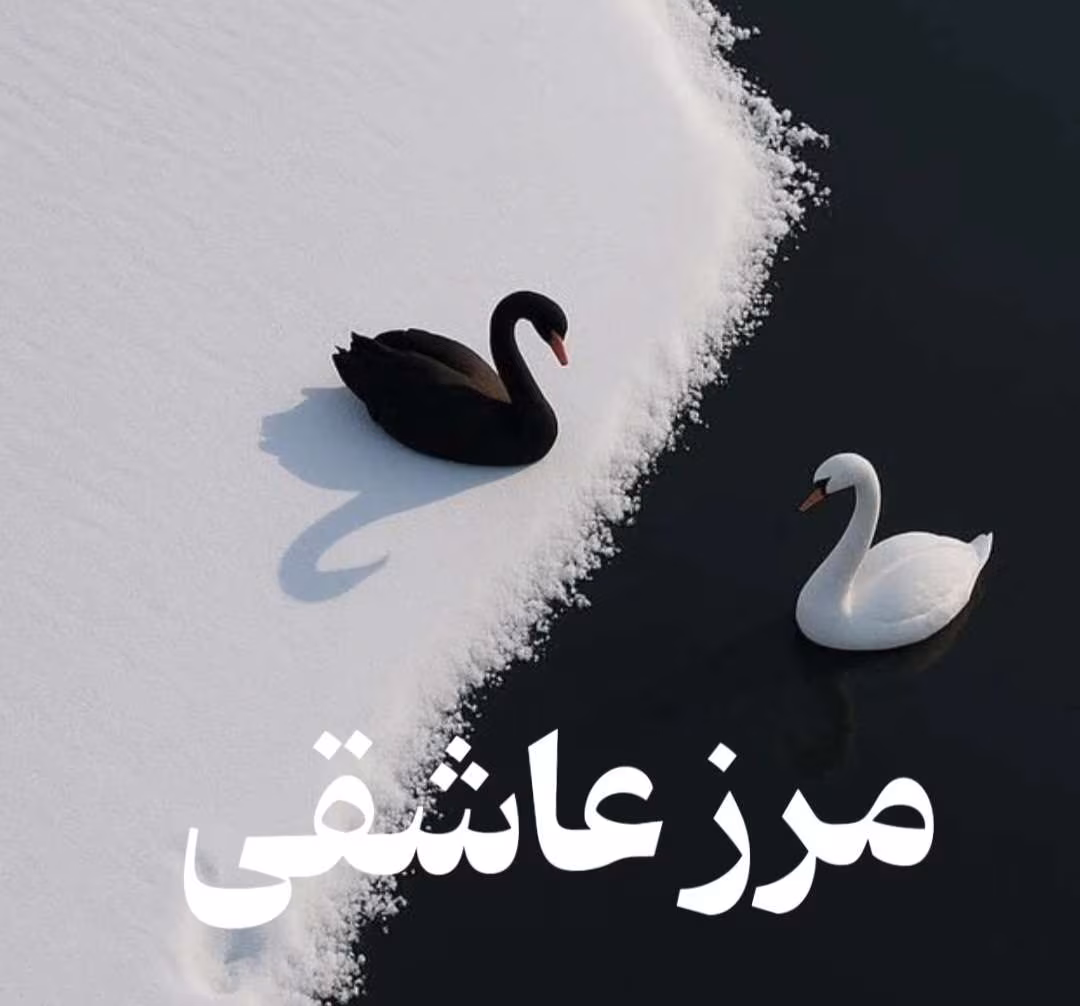 IMG_20250610_130040_758 دانلود رمان مرز عاشقی pdf اثر ناشناس