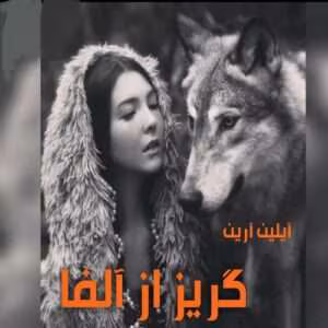رمان گریز از آلفا جلد۲ (جلد۱ من آلفا میشوم) نویسنده: آیلین ارین | دانلود  | کتاب خوان