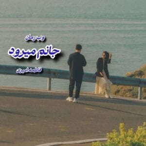 رمان جانم میرود نویسنده: فاطمه امیری | دانلود  | کتاب خوان